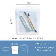 Travel Quart Bag